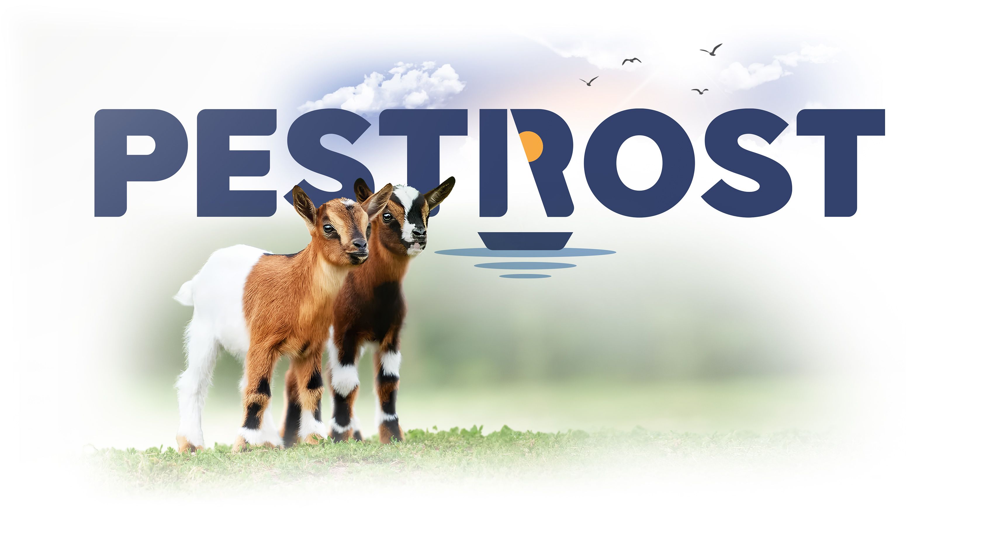 Zábava, příroda a zvířata pro celou rodinu.