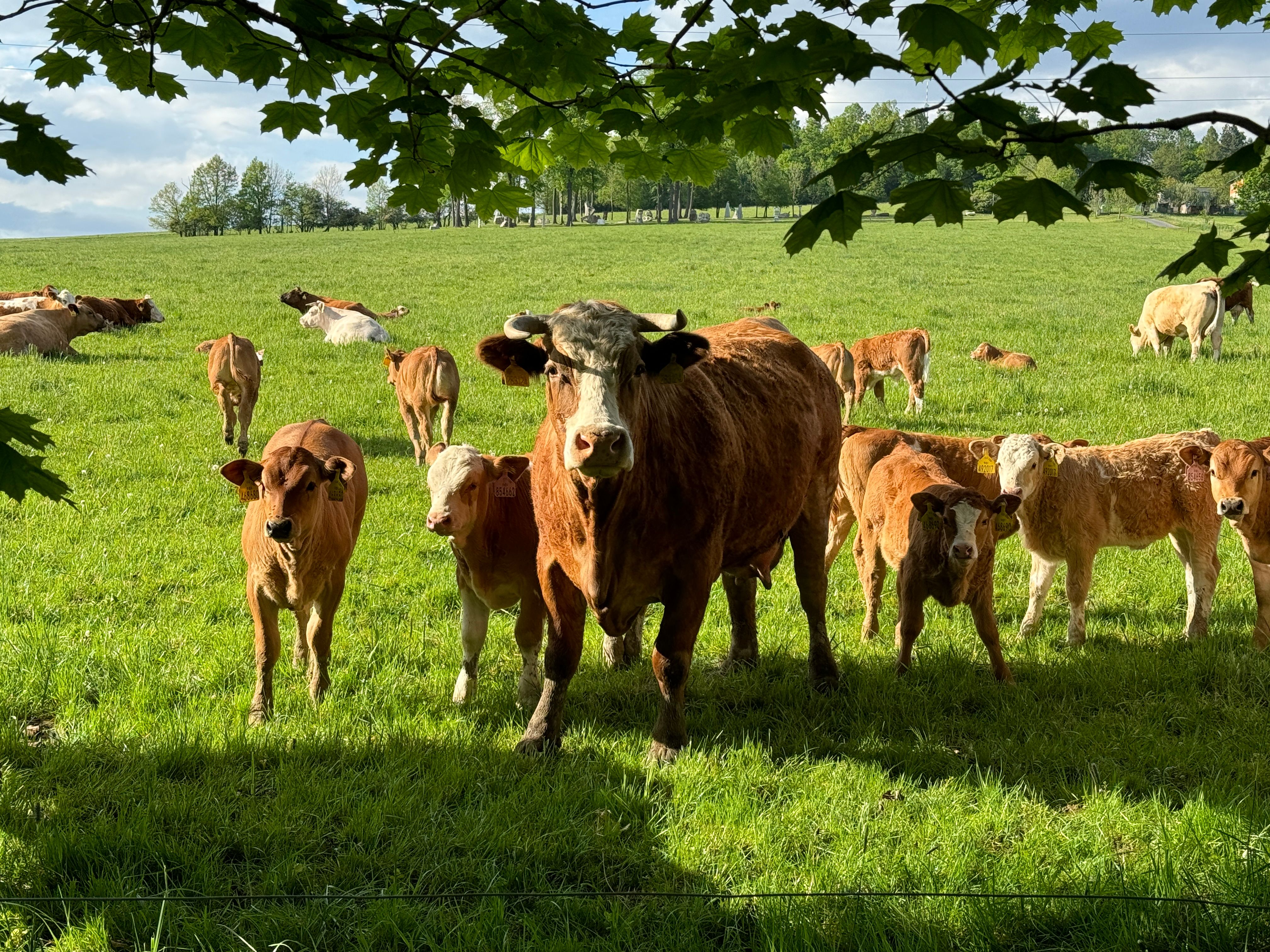 Umění uprostřed přírody